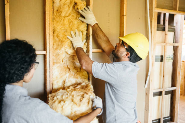 Best Garage Insulation Installation  in USA